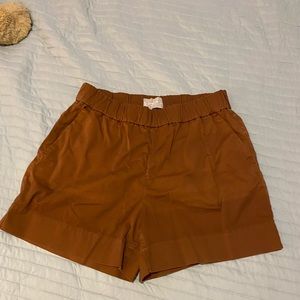 Reddish brown Everlane shorts